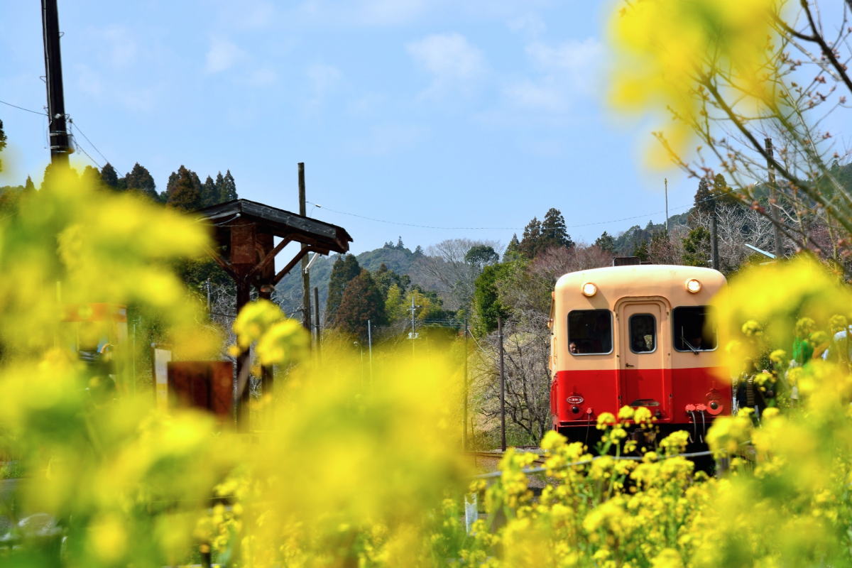 小湊鉄道