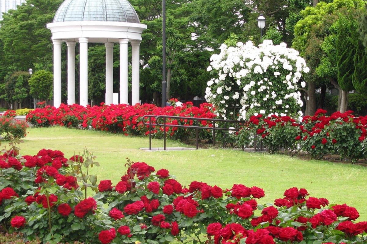 ヴェルニー公園