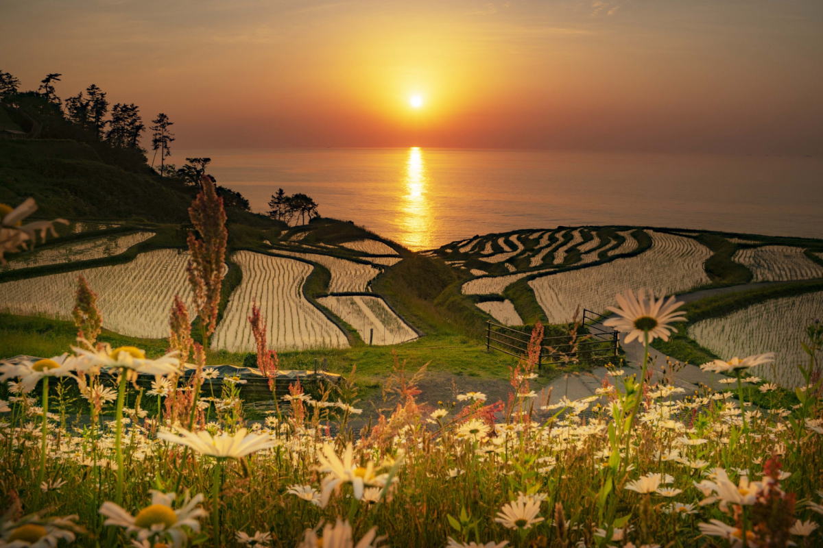 輪島千枚田