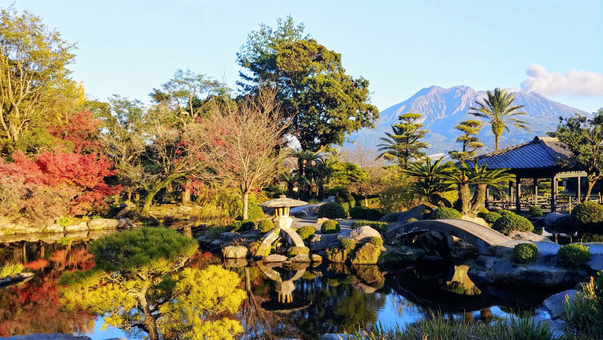 桜島と仙巌園の紅葉